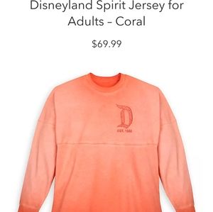 Disney Spirit Jersey